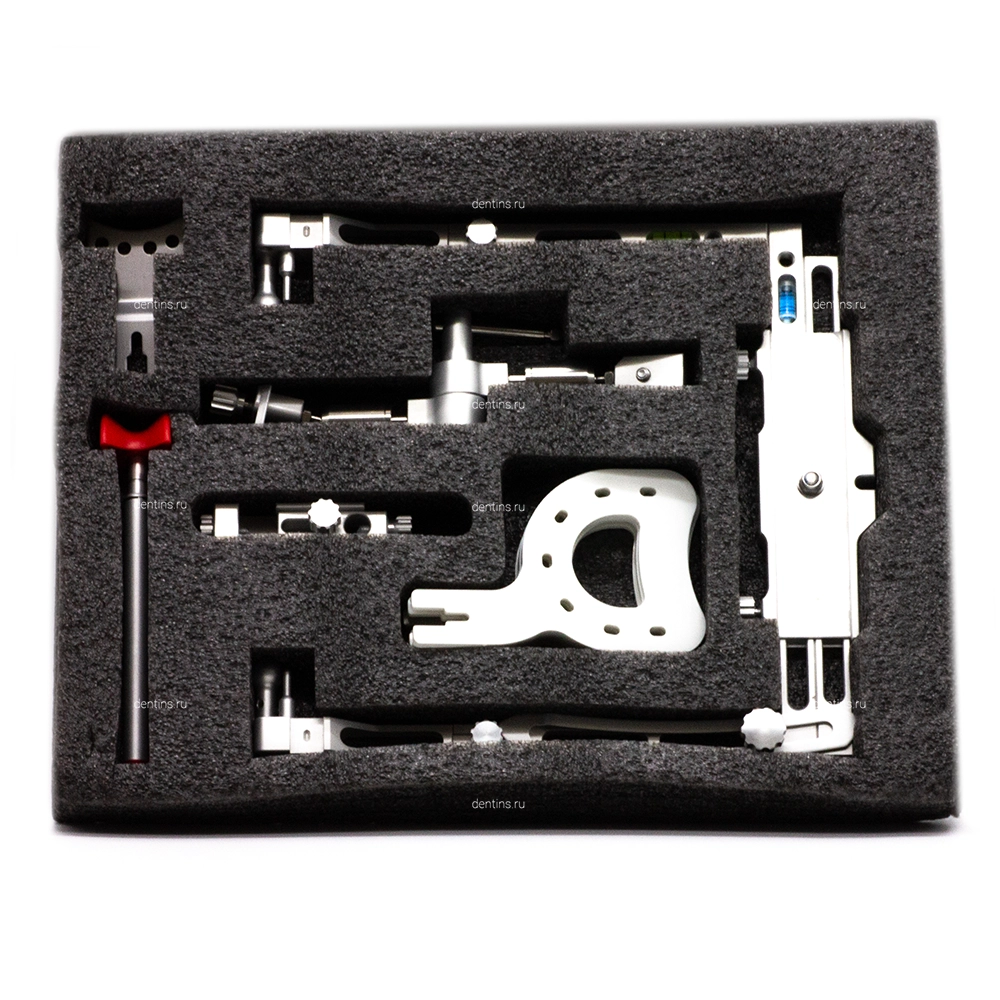 Лицевая дуга